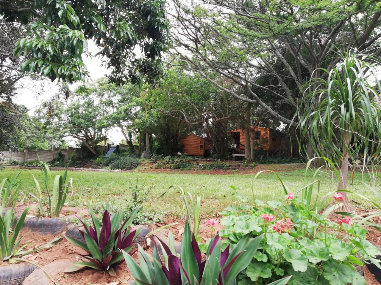 Beach Wood Cottages Shelly Beach Dış mekan fotoğraf