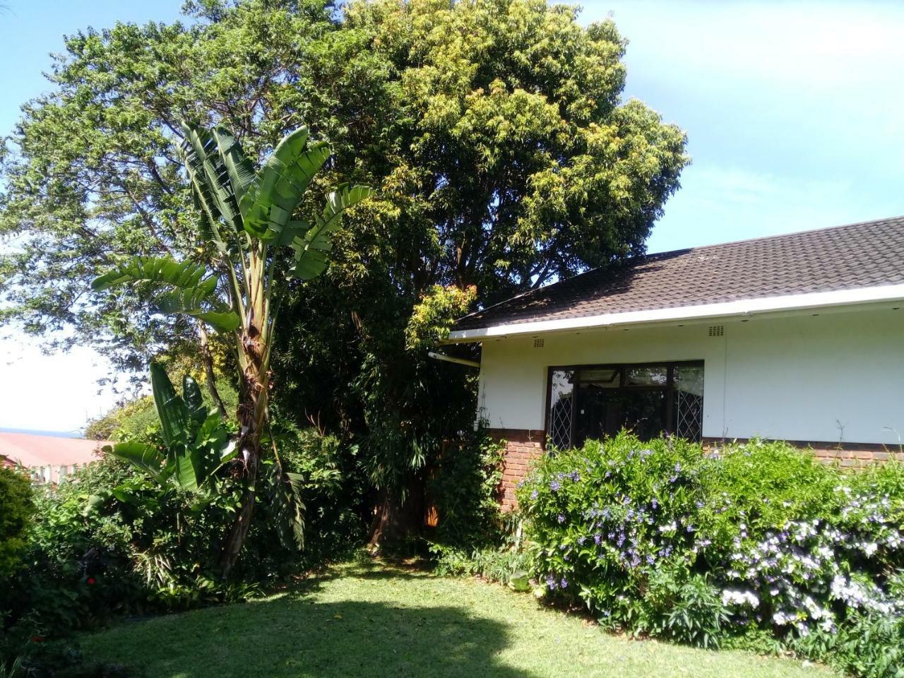 Beach Wood Cottages Shelly Beach Dış mekan fotoğraf