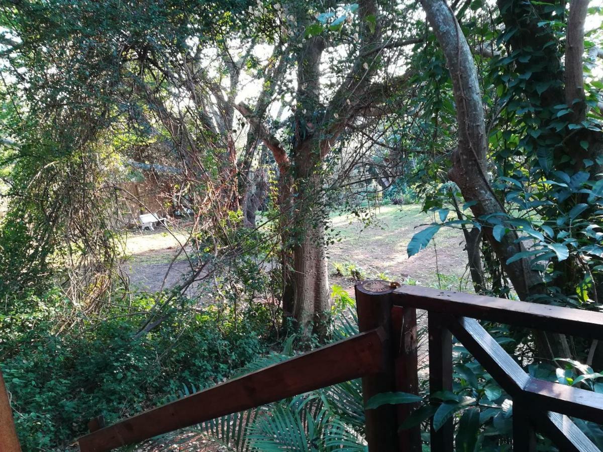 Beach Wood Cottages Shelly Beach Dış mekan fotoğraf